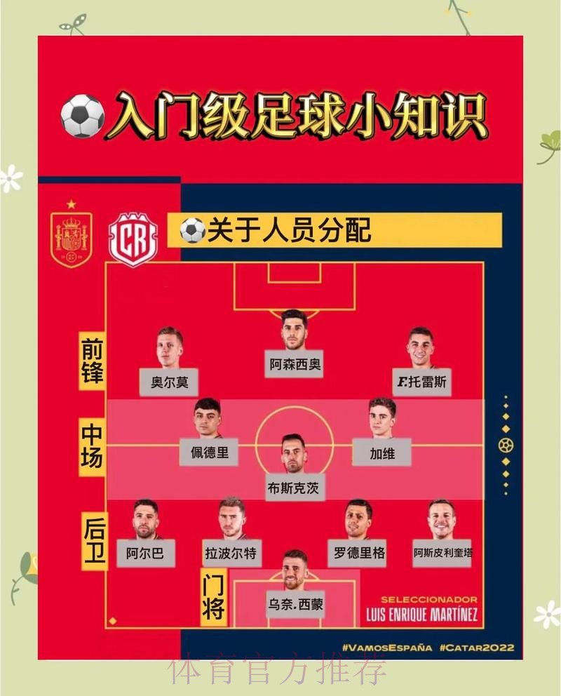 世界杯滚球平台新网址深度解析与实用选择技巧